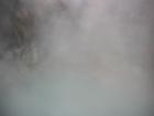 thumbs/IMG_2538.jpg