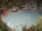 thumbs/IMG_2539.jpg