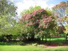 thumbs/IMG_2542.jpg