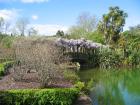 thumbs/IMG_2544.jpg
