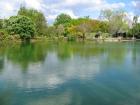 thumbs/IMG_2545.jpg