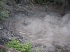 thumbs/IMG_2546.jpg