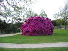thumbs/IMG_2551.jpg
