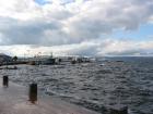 thumbs/IMG_2553.jpg