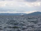 thumbs/IMG_2554.jpg