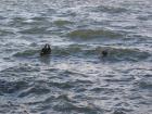 thumbs/IMG_2555.jpg