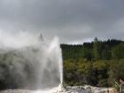 thumbs/IMG_2566.jpg