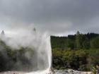 thumbs/IMG_2567.jpg