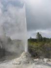 thumbs/IMG_2570.jpg