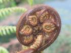 thumbs/IMG_2575.jpg