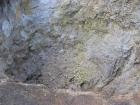 thumbs/IMG_2584.jpg