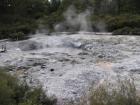 thumbs/IMG_2594.jpg