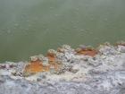 thumbs/IMG_2614.jpg