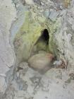 thumbs/IMG_2636.jpg