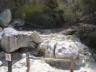 thumbs/IMG_2645.jpg