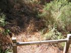 thumbs/IMG_2655.jpg