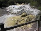 thumbs/IMG_2659.jpg