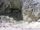 thumbs/IMG_2664.jpg