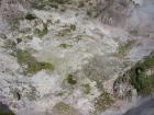 thumbs/IMG_2714.jpg