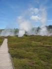 thumbs/IMG_2715.jpg
