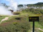 thumbs/IMG_2716.jpg