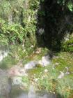 thumbs/IMG_2718.jpg