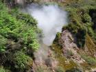 thumbs/IMG_2727.jpg