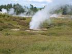 thumbs/IMG_2729.jpg