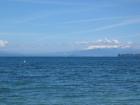 thumbs/IMG_2731.jpg