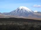 thumbs/IMG_2740.jpg