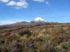 thumbs/IMG_2747.jpg
