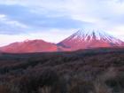 thumbs/IMG_2760.jpg