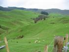 thumbs/IMG_2836.jpg