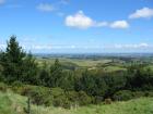 thumbs/IMG_3039.jpg