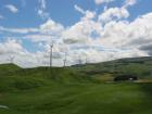 thumbs/IMG_3064.jpg