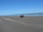 thumbs/IMG_3177.jpg