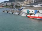 thumbs/IMG_3476.jpg