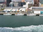 thumbs/IMG_3478.jpg