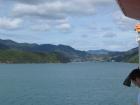 thumbs/IMG_3519.jpg
