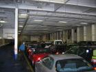 thumbs/IMG_3525.jpg
