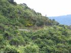 thumbs/IMG_3534.jpg