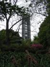 thumbs/IMG_3550.jpg