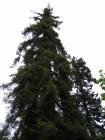thumbs/IMG_3557.jpg