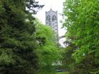 thumbs/IMG_3558.jpg