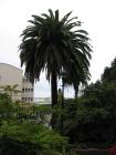 thumbs/IMG_3560.jpg