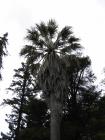 thumbs/IMG_3561.jpg