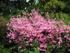 thumbs/IMG_3566.jpg