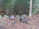 thumbs/IMG_3590.jpg