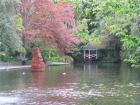 thumbs/IMG_3591.jpg