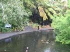thumbs/IMG_3601.jpg
